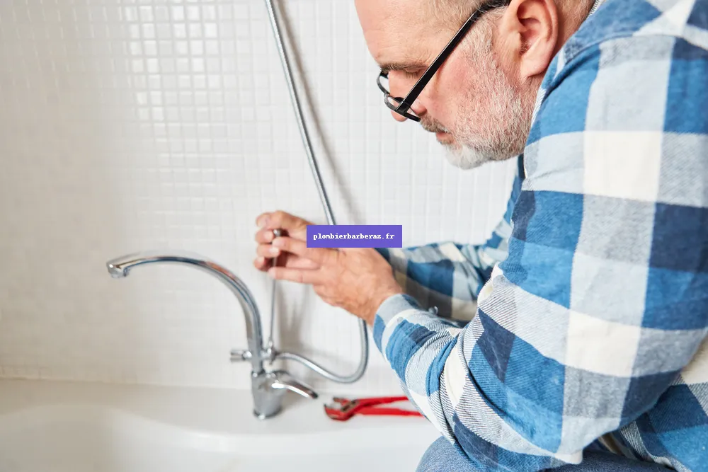 Plombier Barberaz 73000