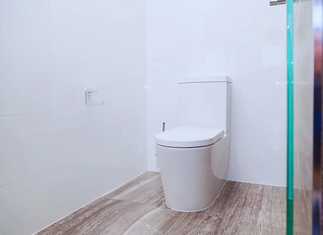 Remplacement de wc Barberaz